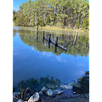 King tide image